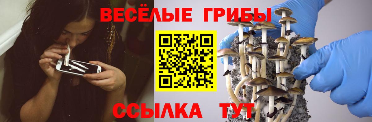 Галлюциногенные грибы мицелий  Вход с VPN  Братск 